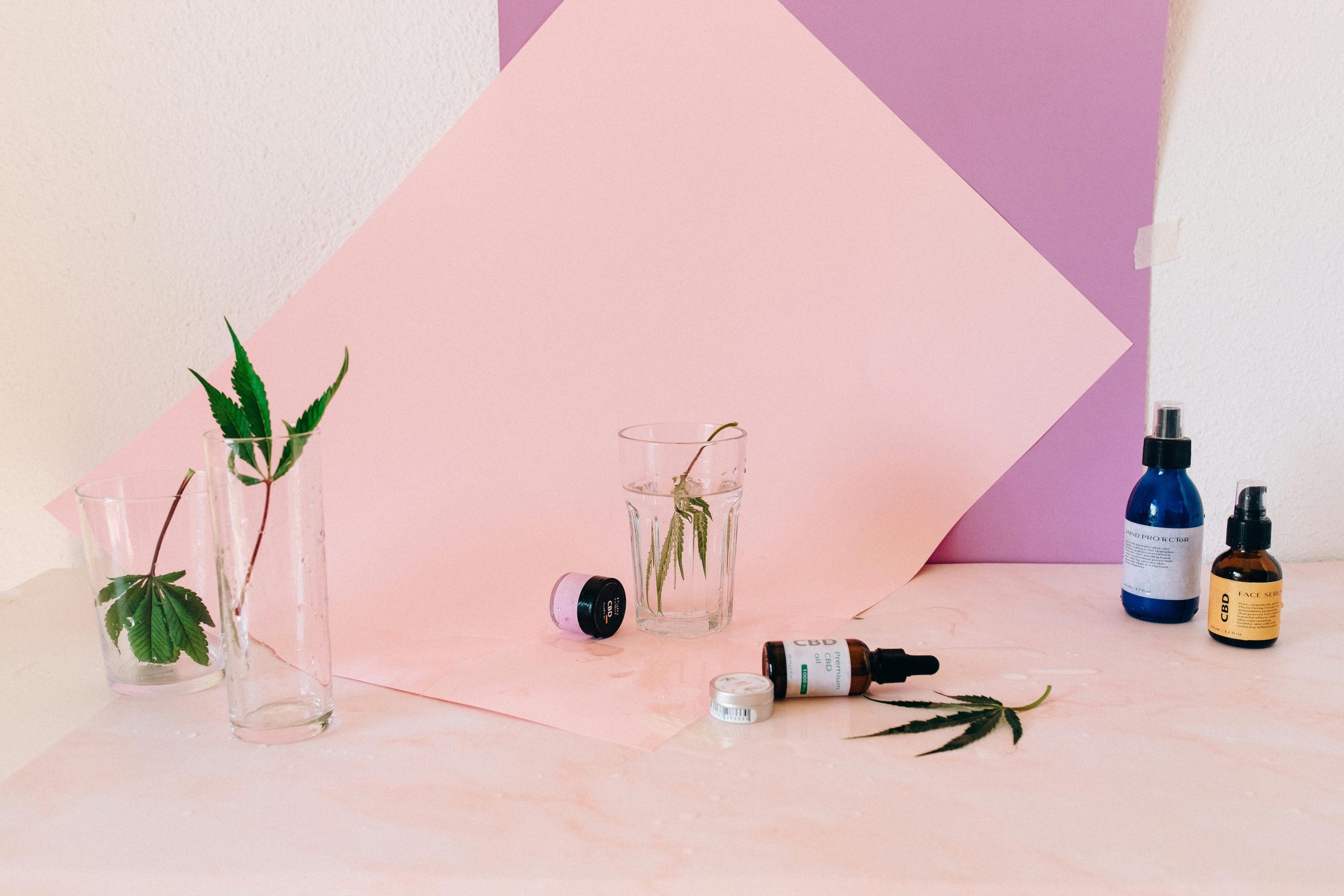 An infographic illustrating statistics about increased demand for plant-based skincare and makeup products.