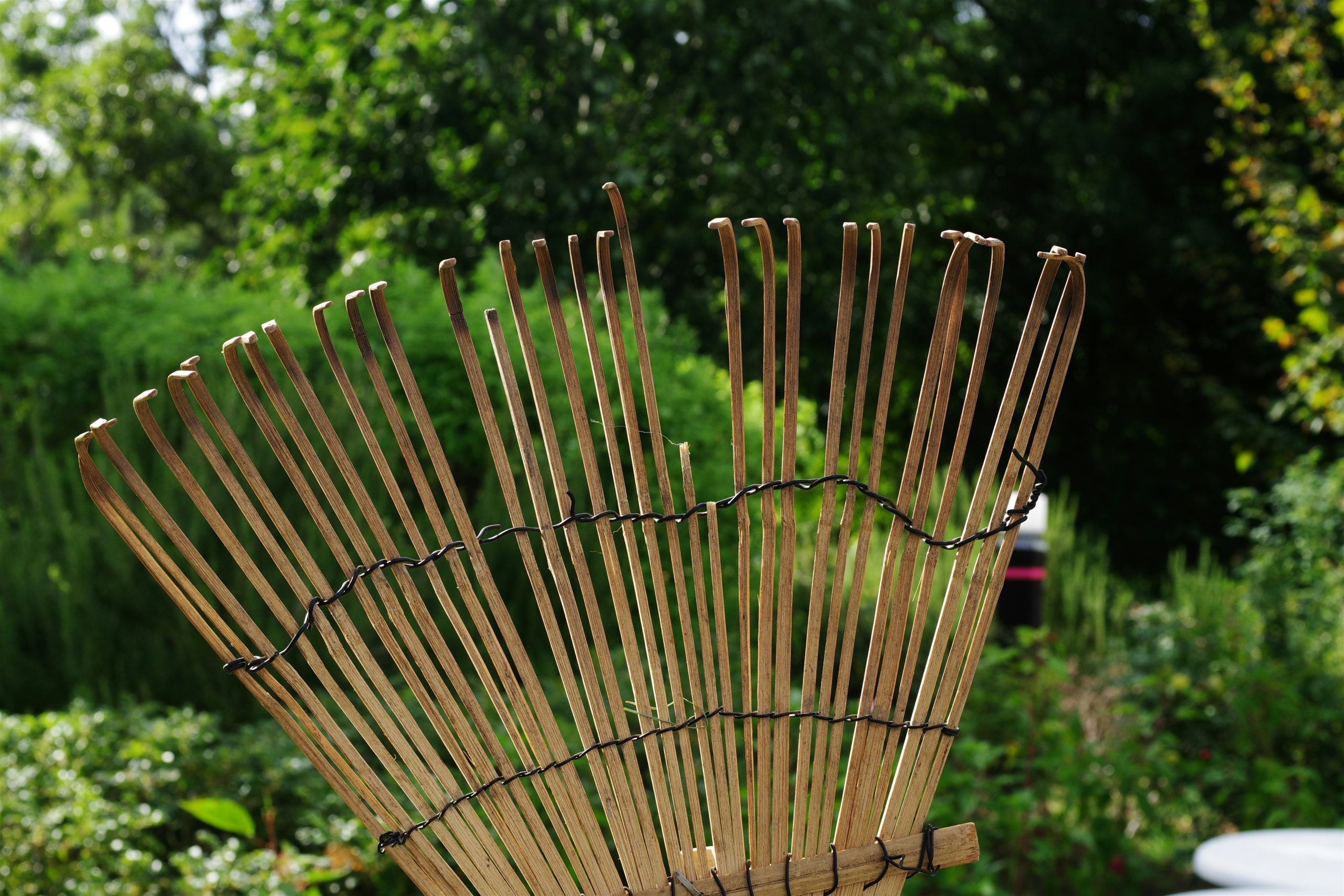 A set of eco-friendly bamboo makeup brushes laid out neatly