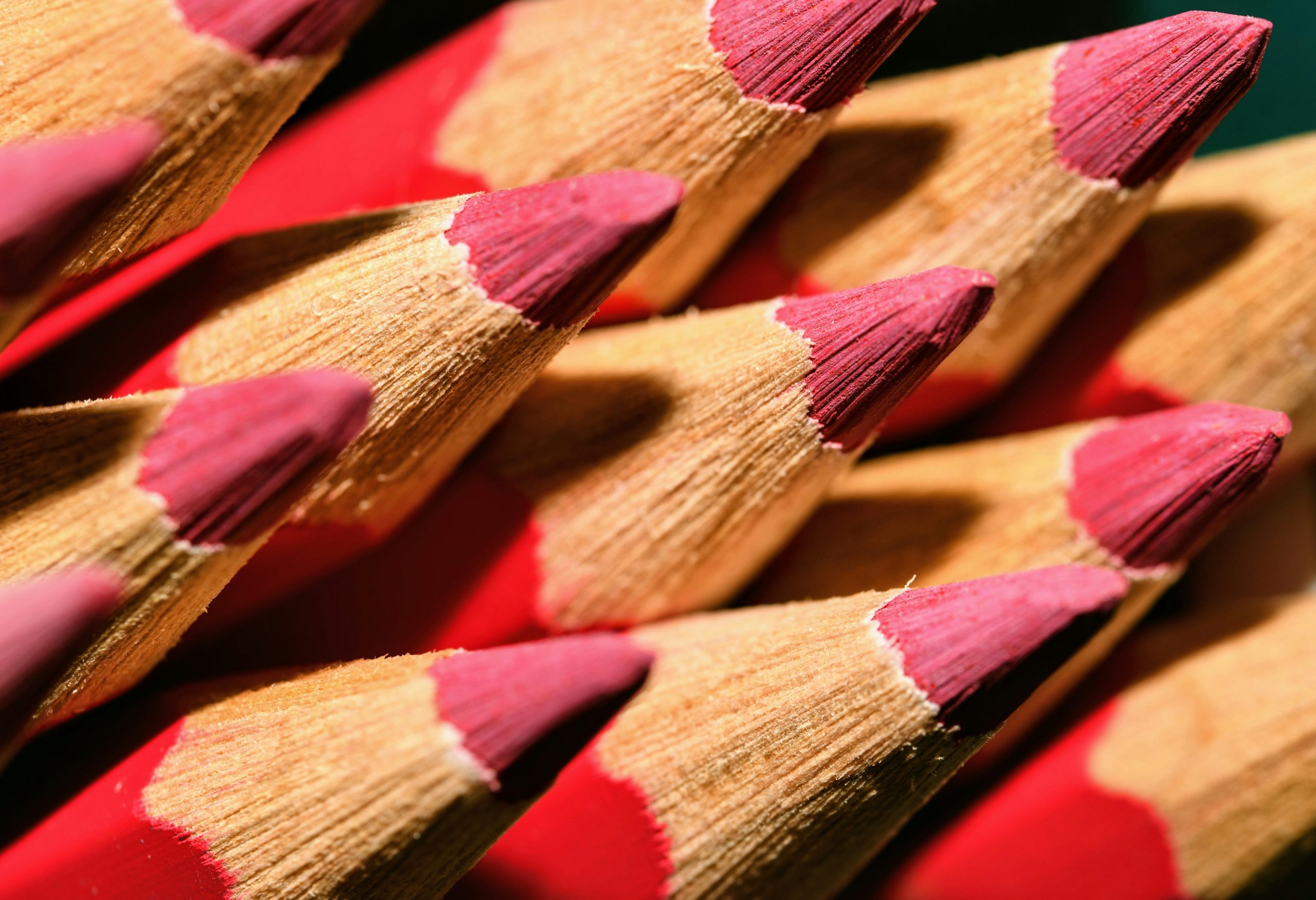 Palette showcasing multipurpose natural makeup sticks