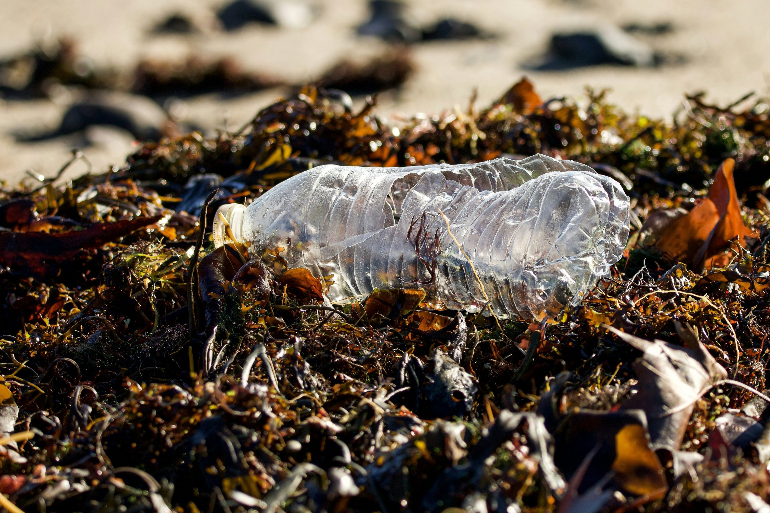 Plastic waste polluting beaches