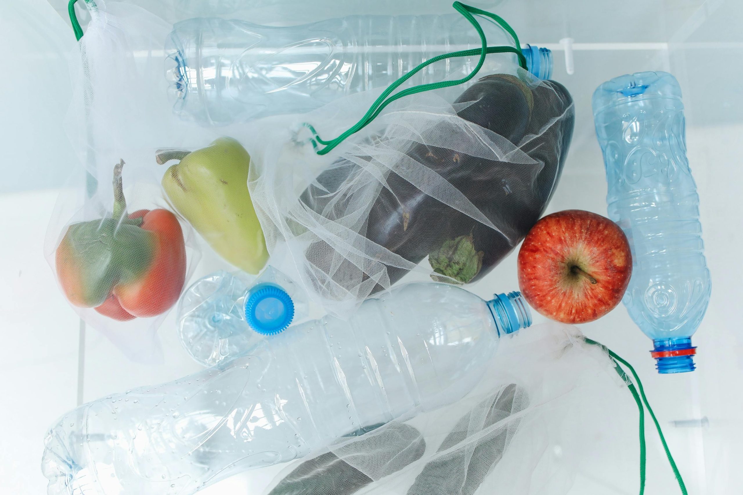 Sustainable Choices
