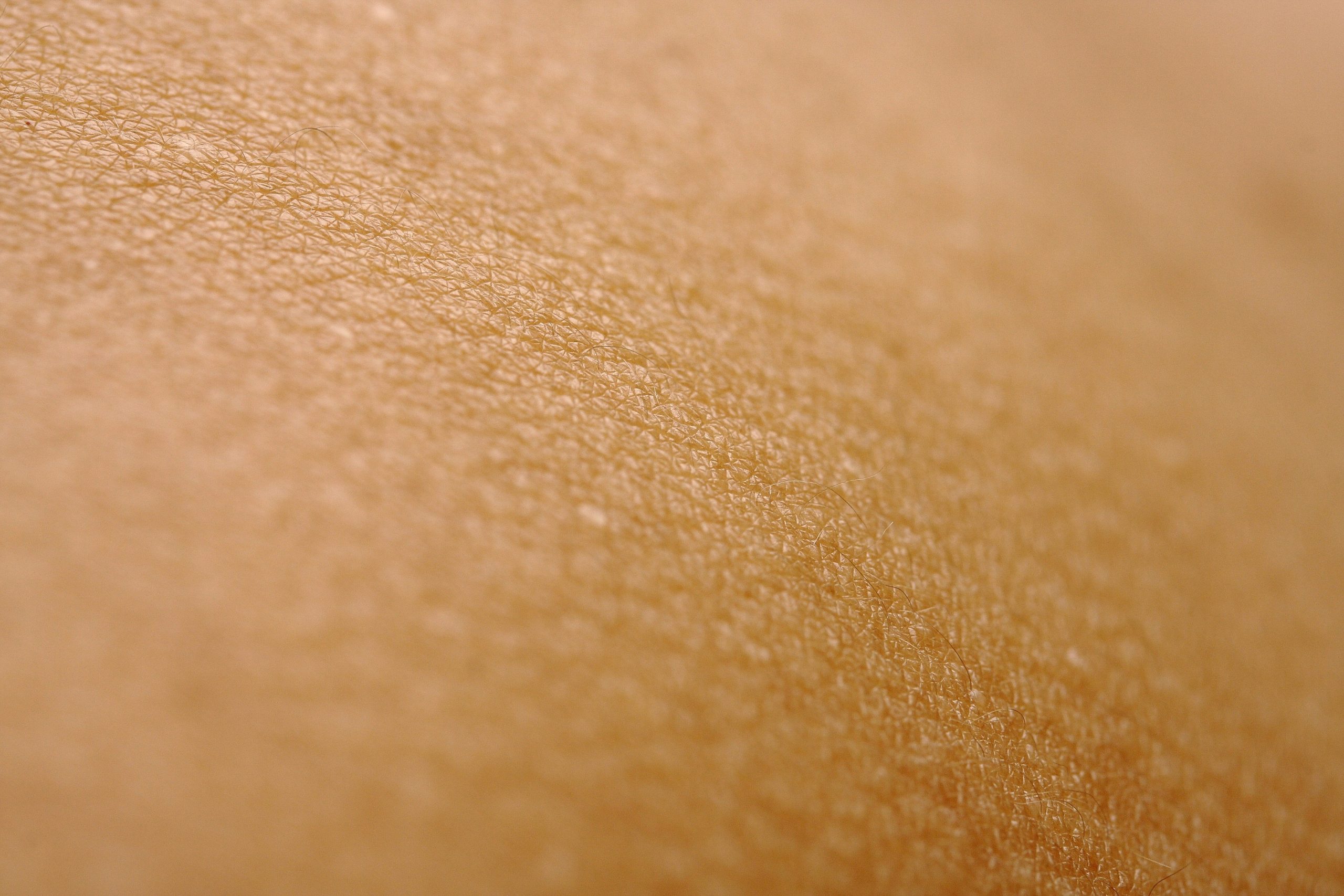 Why Organic Foundation is the Secret to Flawless Natural Makeup