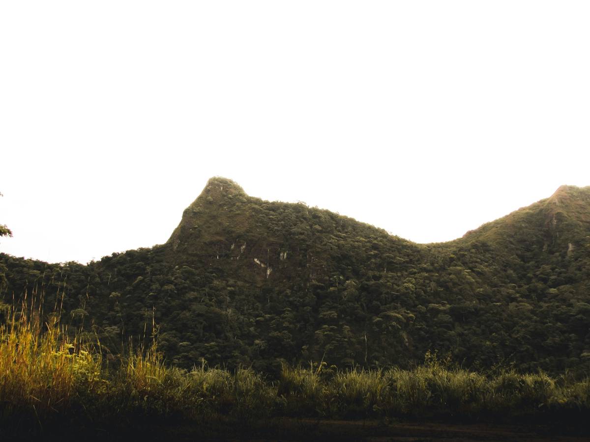 Side-by-side comparison of popular eco-friendly mascaras